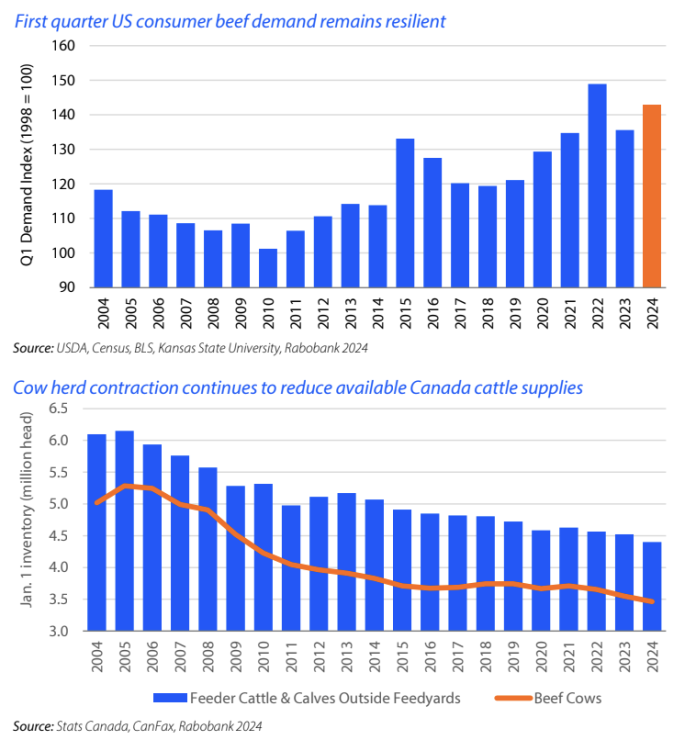 Rabobank Report: Beef and cattle demand begins the year historically ...