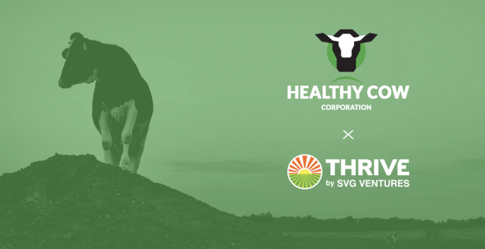 Healthy Cow Accepted to the Award-Winning THRIVE Accelerator Program ...