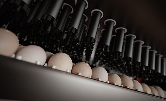 Embrex Device How to ensure successful installation of in ovo technology - Poultry ...