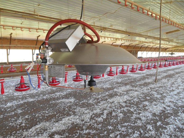 Round Chicken Brooder Brooder Elevation Is Important When Heating Broiler Houses - Poultry ...