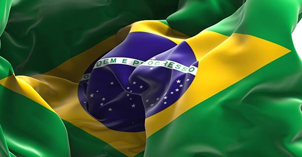 Brazil Detects Newcastle Disease at Turkey Farm, Potentially Threatening Poultry Exports