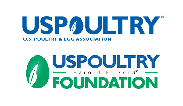 New Research Provides Insights to Improve Broiler Breeder Fertility and Chick Output