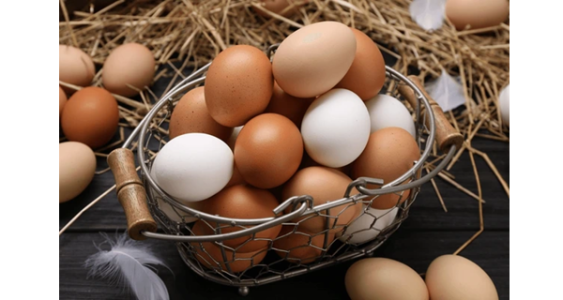 Egg Prices Projected to Surge Over 40% in 2025 Amid Avian Flu Crisis ...