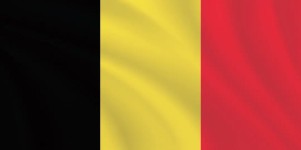 Belgium Orders Poultry Indoors as Bird Flu Spreads Across Europe ...
