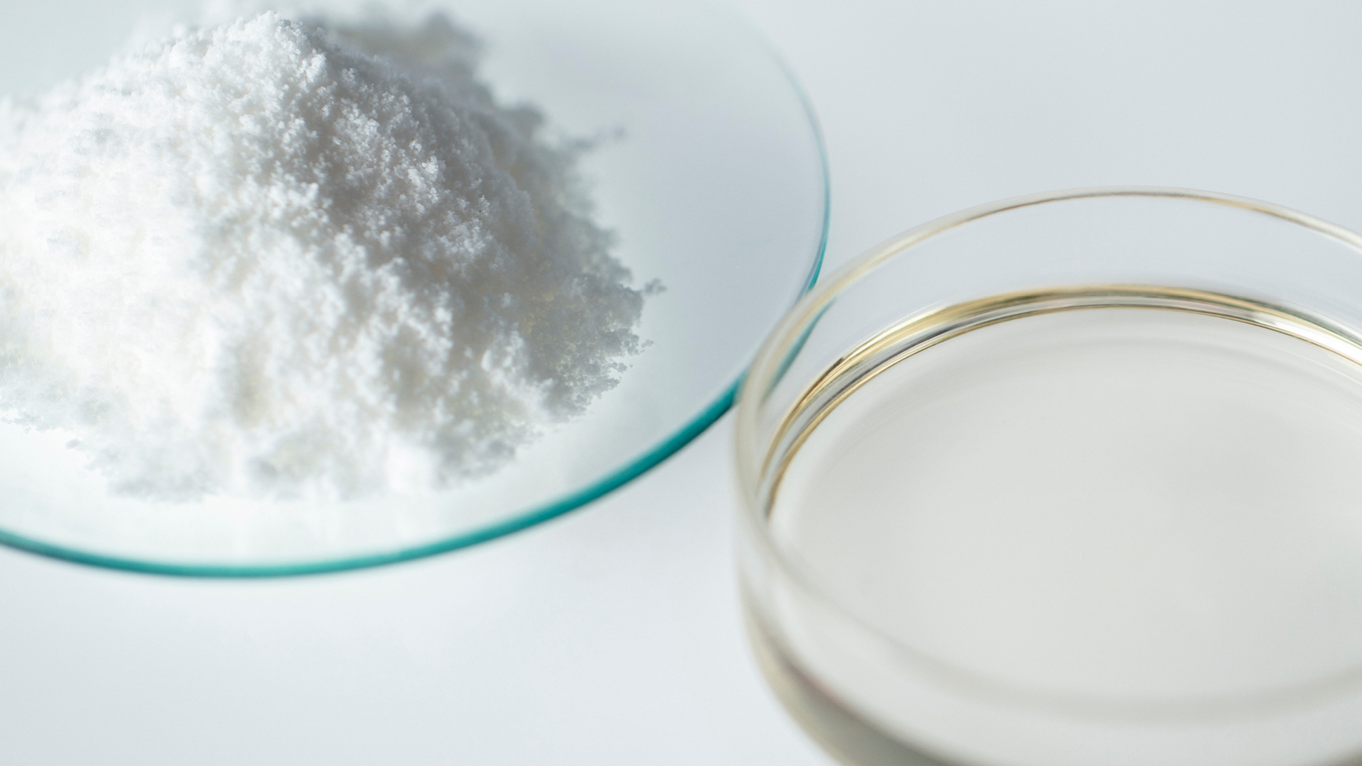 BASF´s BalanGut™ LS The right balance for a healthy gut and sustainable ...