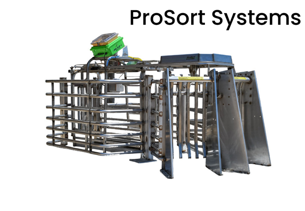 Prosort From Myths to Modern Solutions: How ProSort is Revolutionizing ...