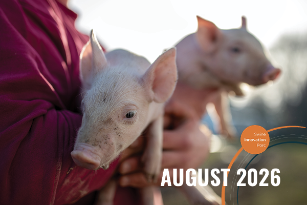 Swine Innovation Porc expands Pork Research Hub with new Research in Action video series