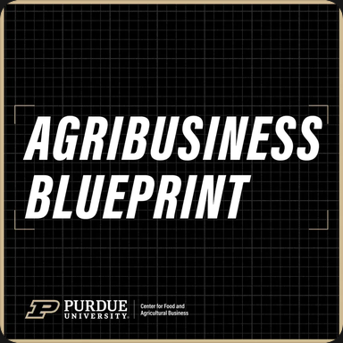 Un-Predicting the Future of Agribusiness
