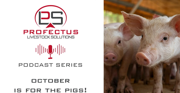 Podcast #15 – Swine Nutrition and Its Impact on Health (ft. Dr. Gabler – Iowa State Univ)